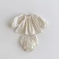 Beige Embroidery
