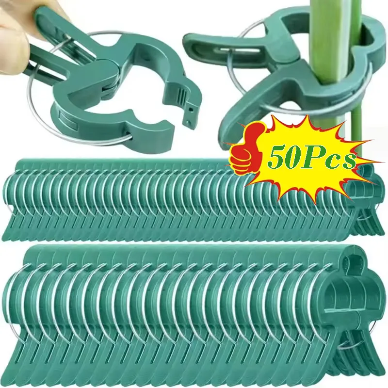 10/30/50Pcs Plant Fixed Clips Reusable Garden Greenhouse Bracket for Fixing Flower Stems Plants Vine Support Garden Supplies