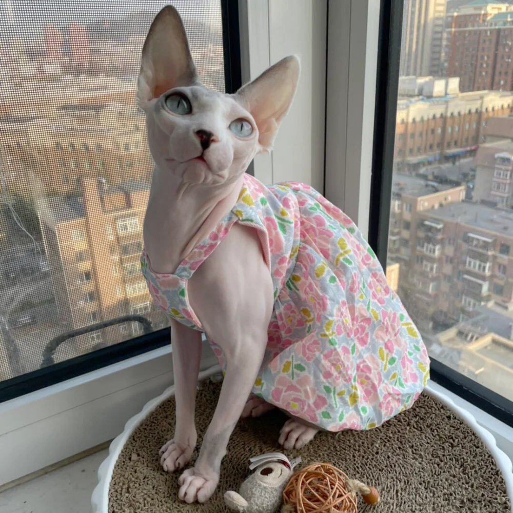 floral-vestido-de-algodao-sem-mangas-para-sphinx-verao-rosa-suspenso-bolha-saia-para-gatos-femininos-casaco-macio-para-devon-rex-na-primavera