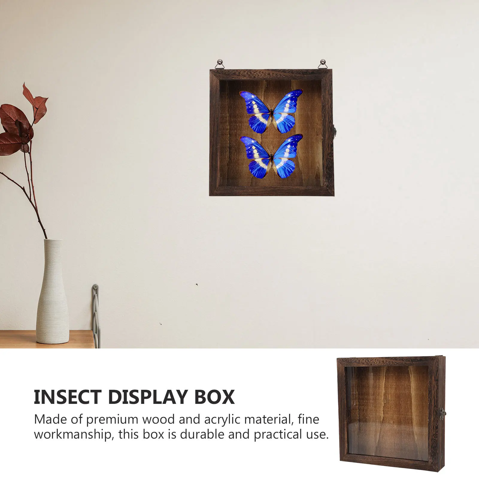 Коробка для образцов бабочки 25x25
