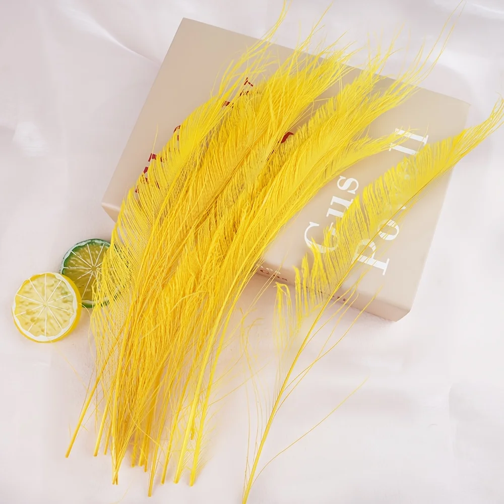 Wholesale 25-35cm Peacock Feather Sword Dyed Feathers for DIY Decoration Peacock Edge Wing Floral Insert Cat Toy Craft Supplies view 5