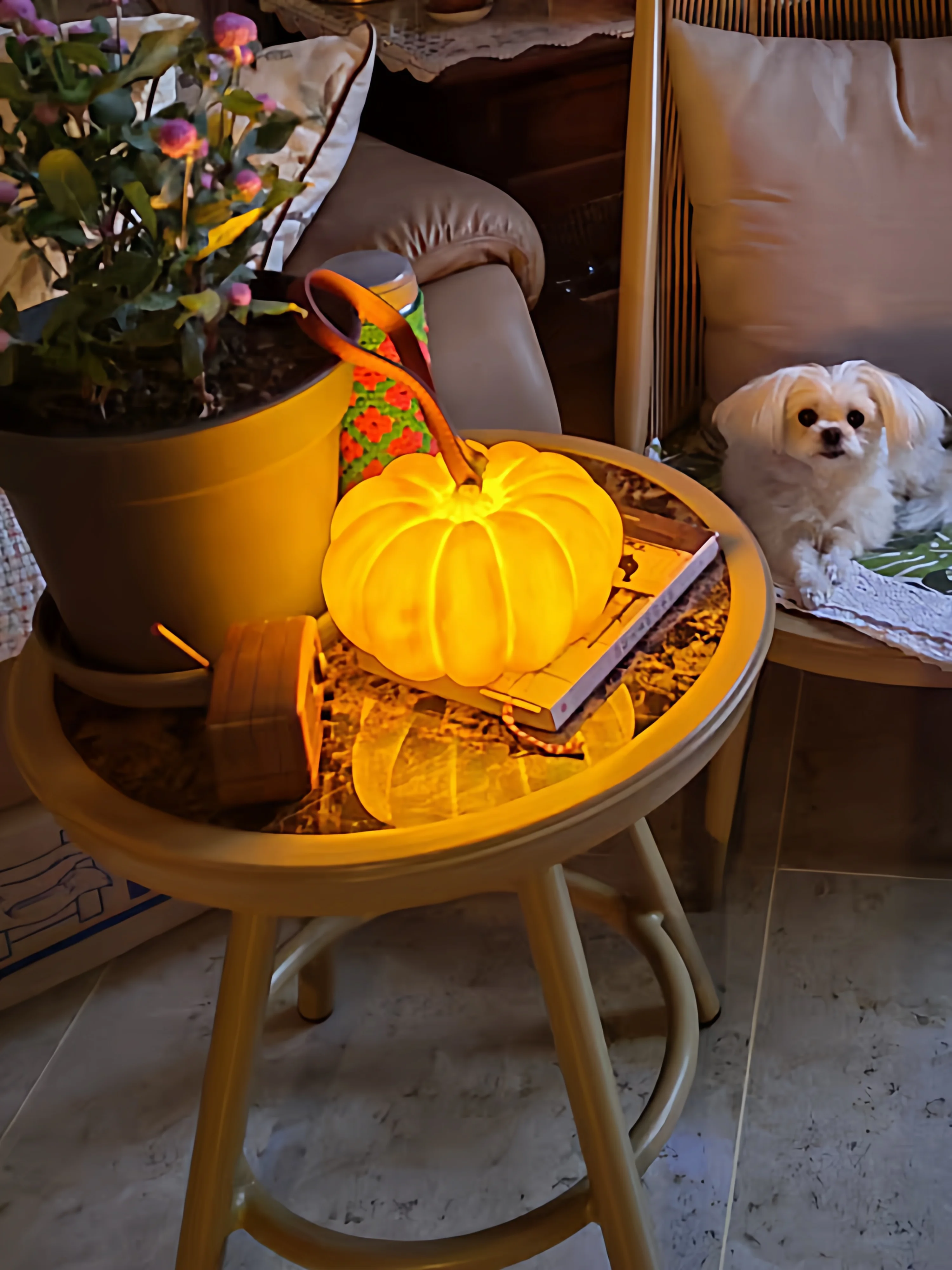 

CZ pumpkin atmosphere solar waterproof outdoor garden villa courtyard portable lawn atmosphere ornament
