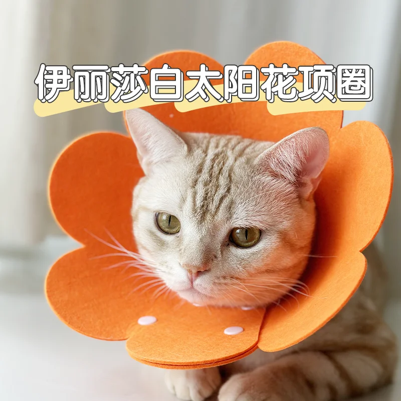 Elizabeth Circles Cat Sterilization Collar Anti-Bite Anti-Licking Collar Shame Circles Cat Headgear Scarf Pet Supplies Bows Ropa