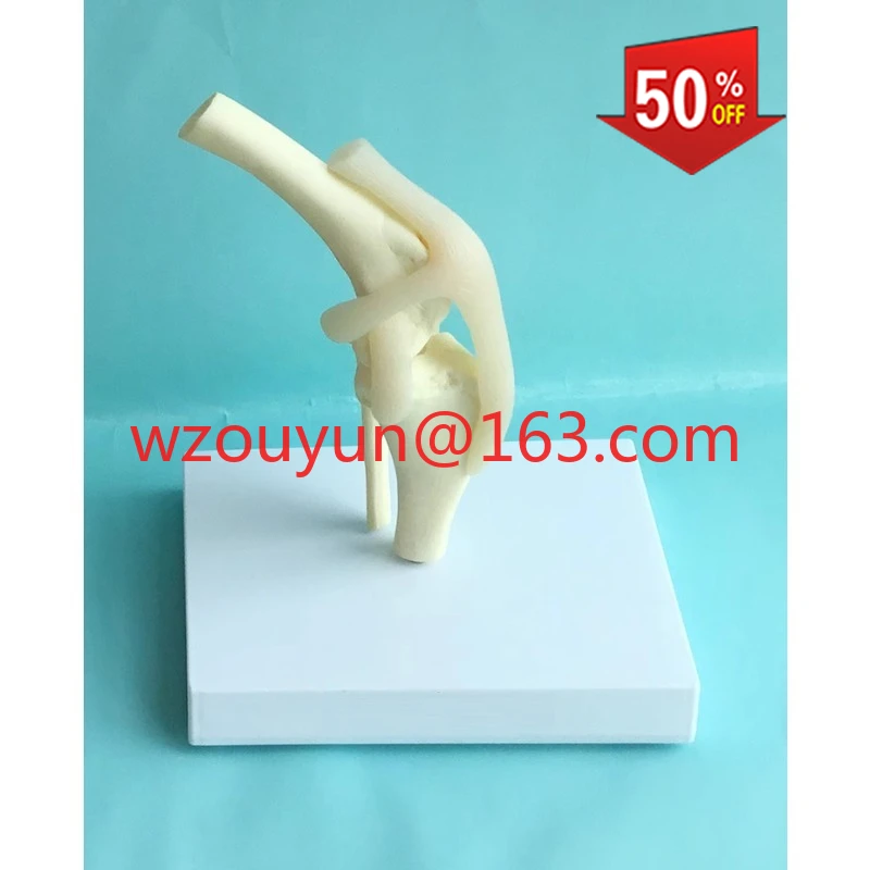 

Модель колена собаки, скелет собаки, скелет собаки, ветеринарная обучающая форма для домашних животных