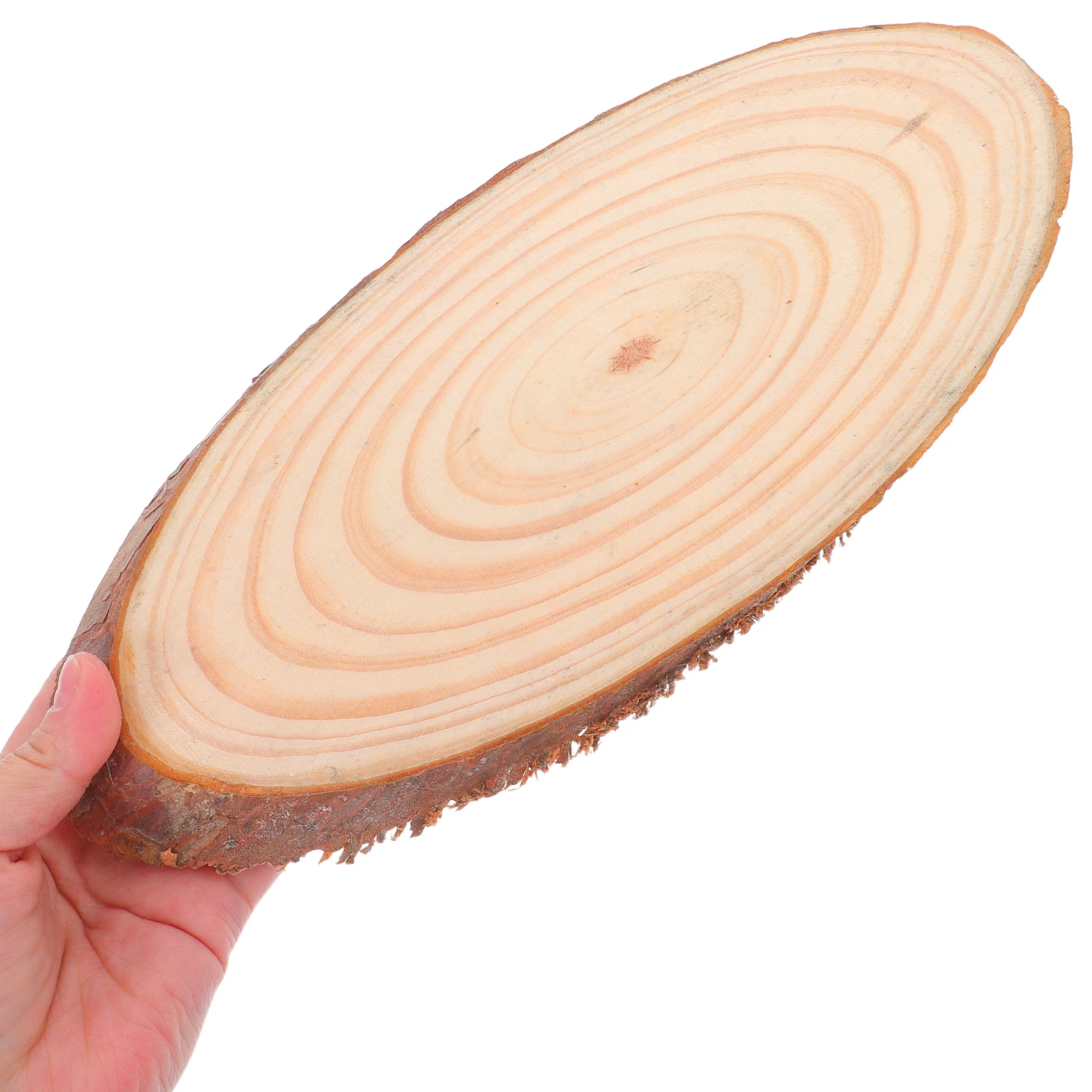 

2pcs Inclined Slices Logs for Crafts Home Decor Rustic Wood Ornament Slices Wedding Fireplace Wooden Boards
