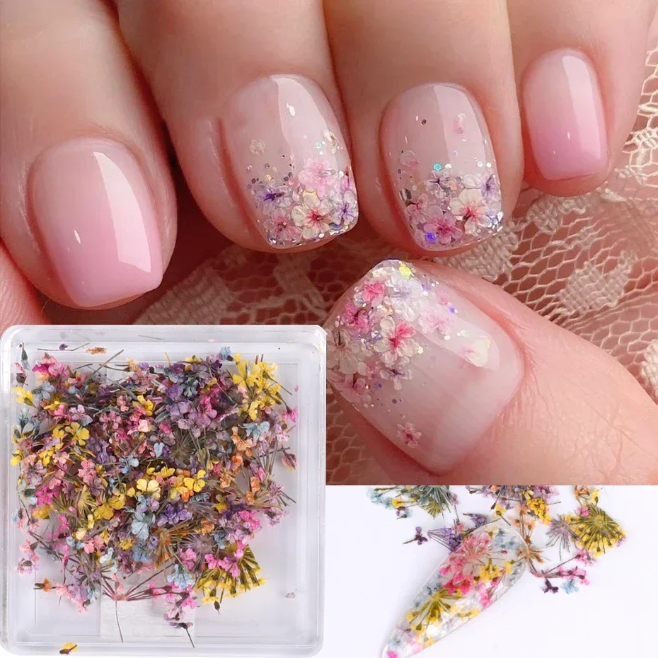 1Box Nail art Blume Dekoration Zarte 3D Getrocknete Blume Nail art Dekorationen Exquisite Nail art Schönheit Für Charms zubehör