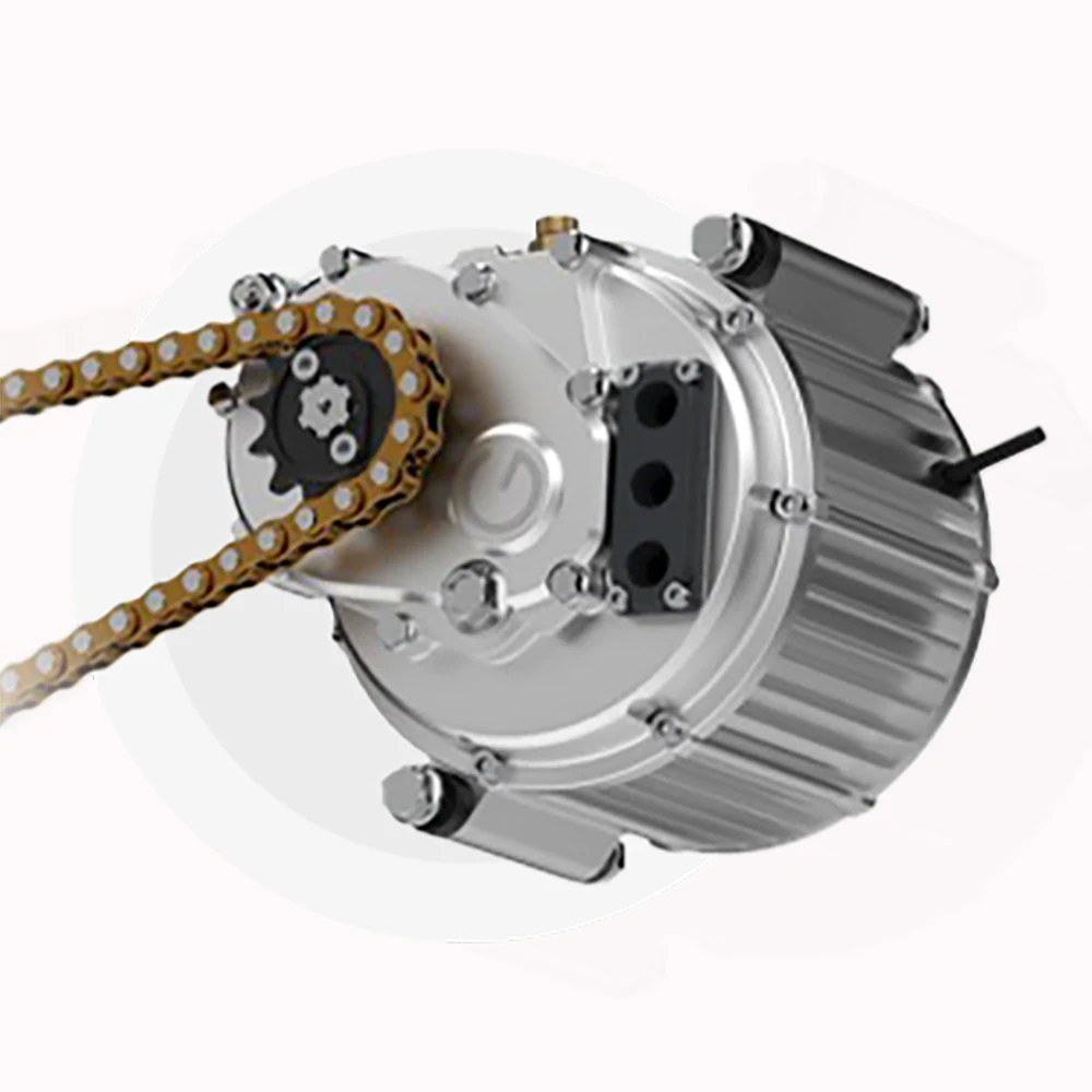 Gowow Ori / Alpha OEM Original Motor PMSM permanent magnet synchronous motor, km/h high-performance motor