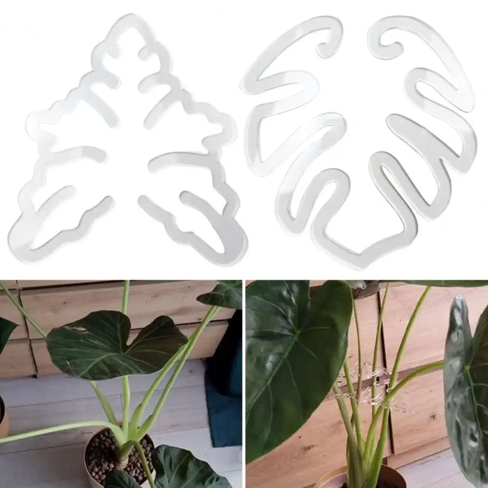 Adjustable Plant Bracket Monstera Grapple Plant Support Stakes Leaf Holder for Flowers Vegetables for Vertical for Taming