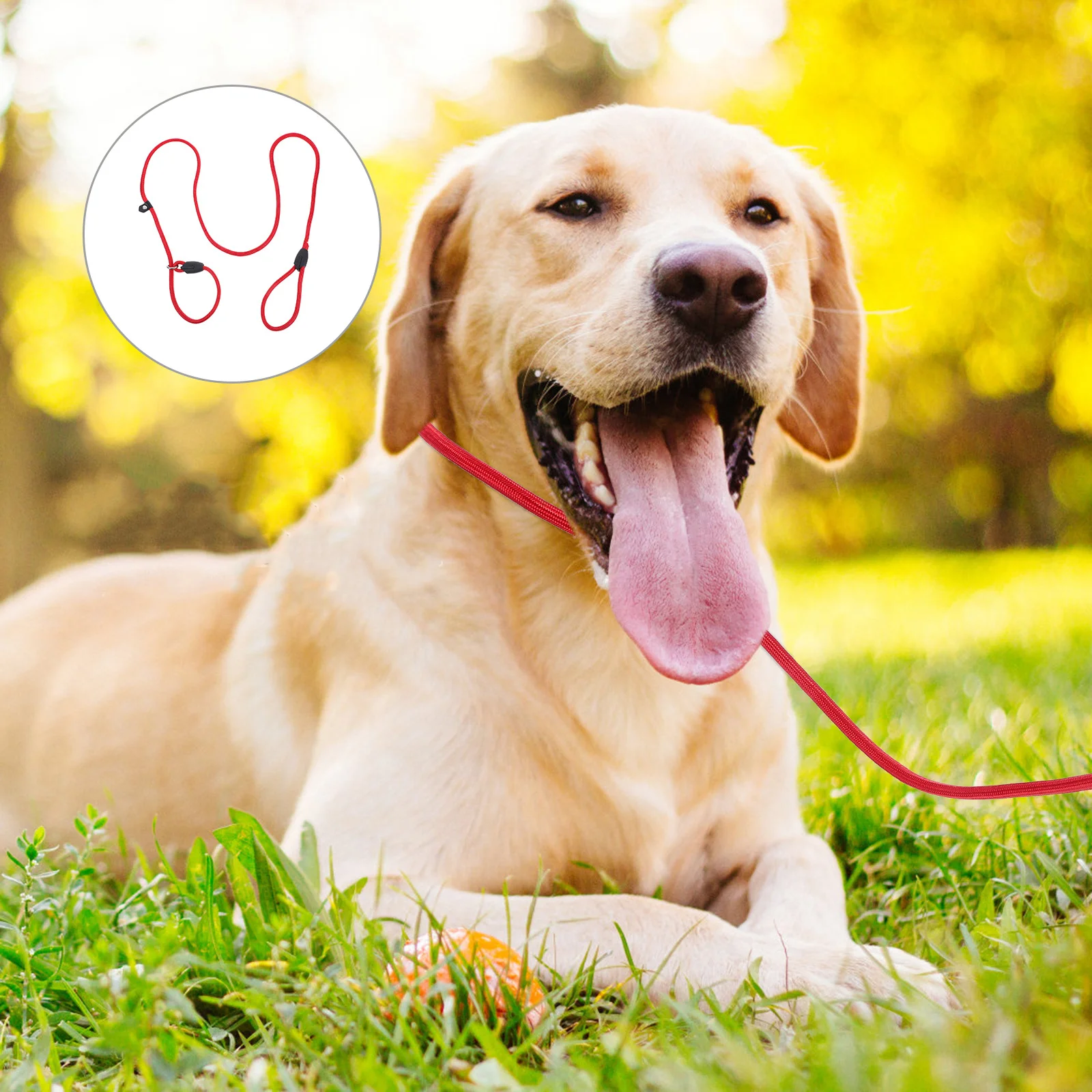 

Nylon Dog Training Leash Size S Red Durable Heavy Duty Reflective Walking Lead for Large Medium Dogs Jogging Hiking