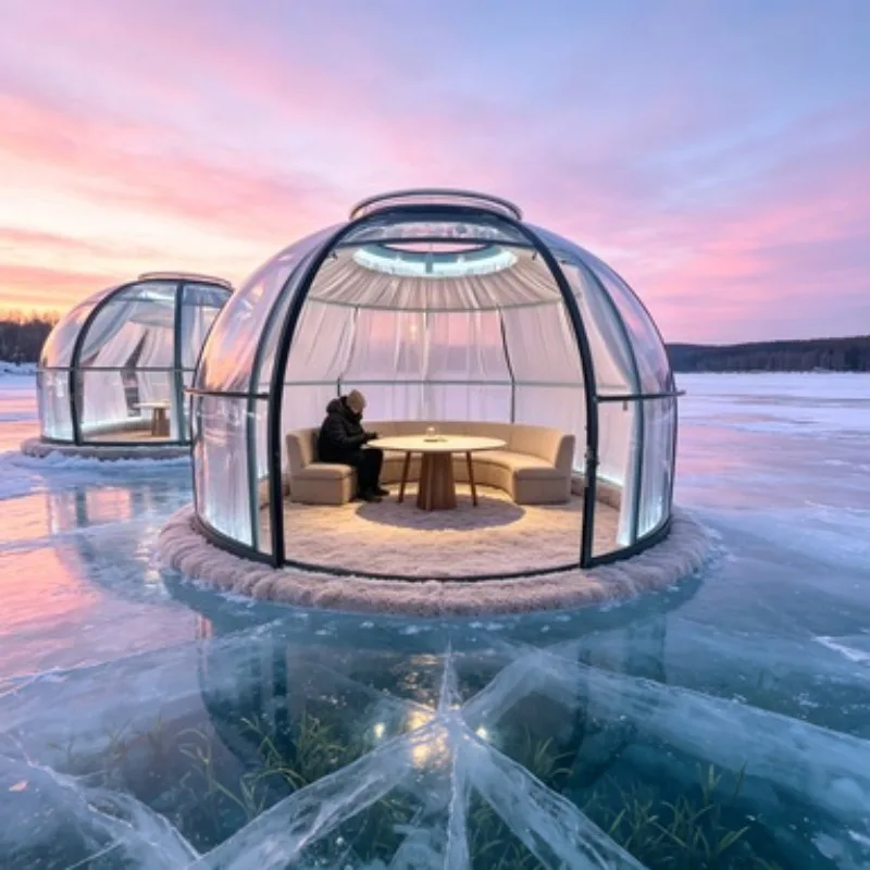 PC Dome Bubble House Starry Sky Glamping Tent Room 3m 5m 8m Transparent Prefab Geodesic Dome for Hotel Camping Sale