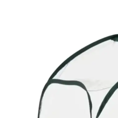 Compact foldable greenhouse for backyard use with mesh ventilation and transparent walls to support plant development