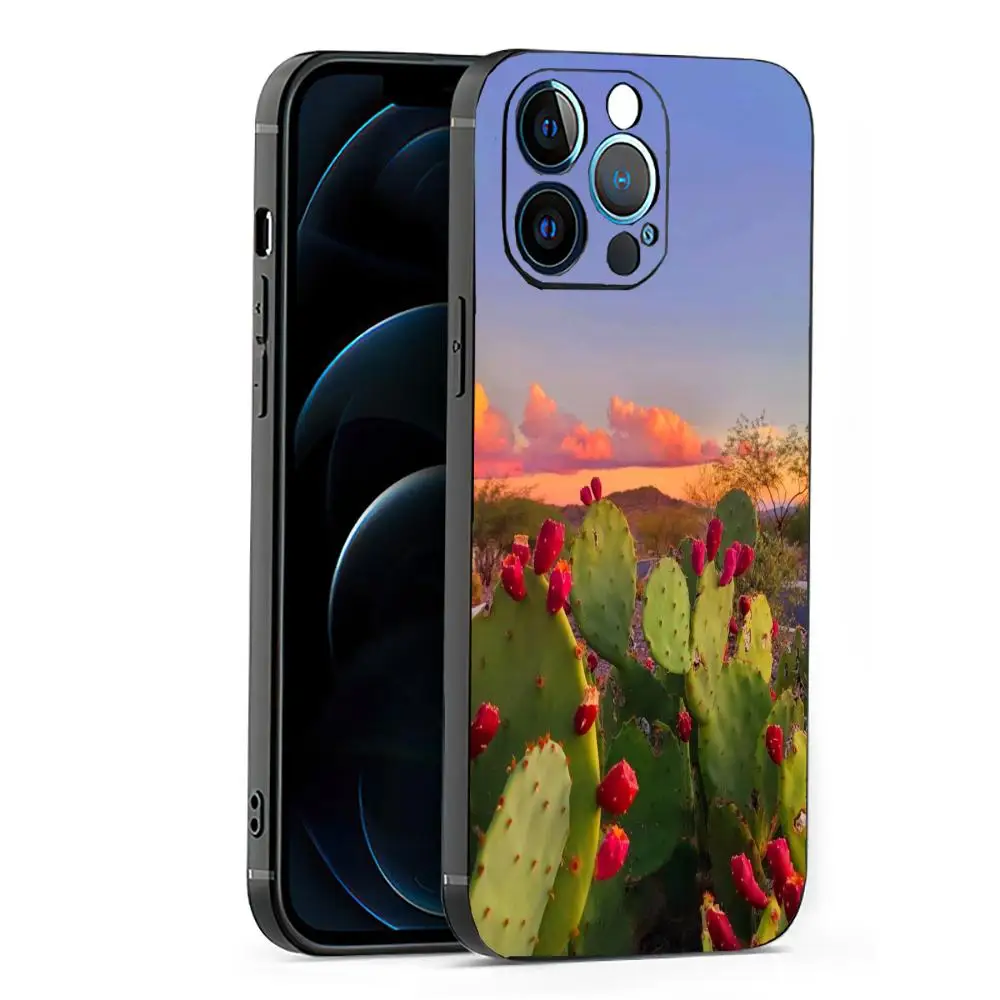 

Cactus phone case suitable for iPhone 16 15 14 13 12 11 Pro/Max/Plus all inclusive frosted soft case