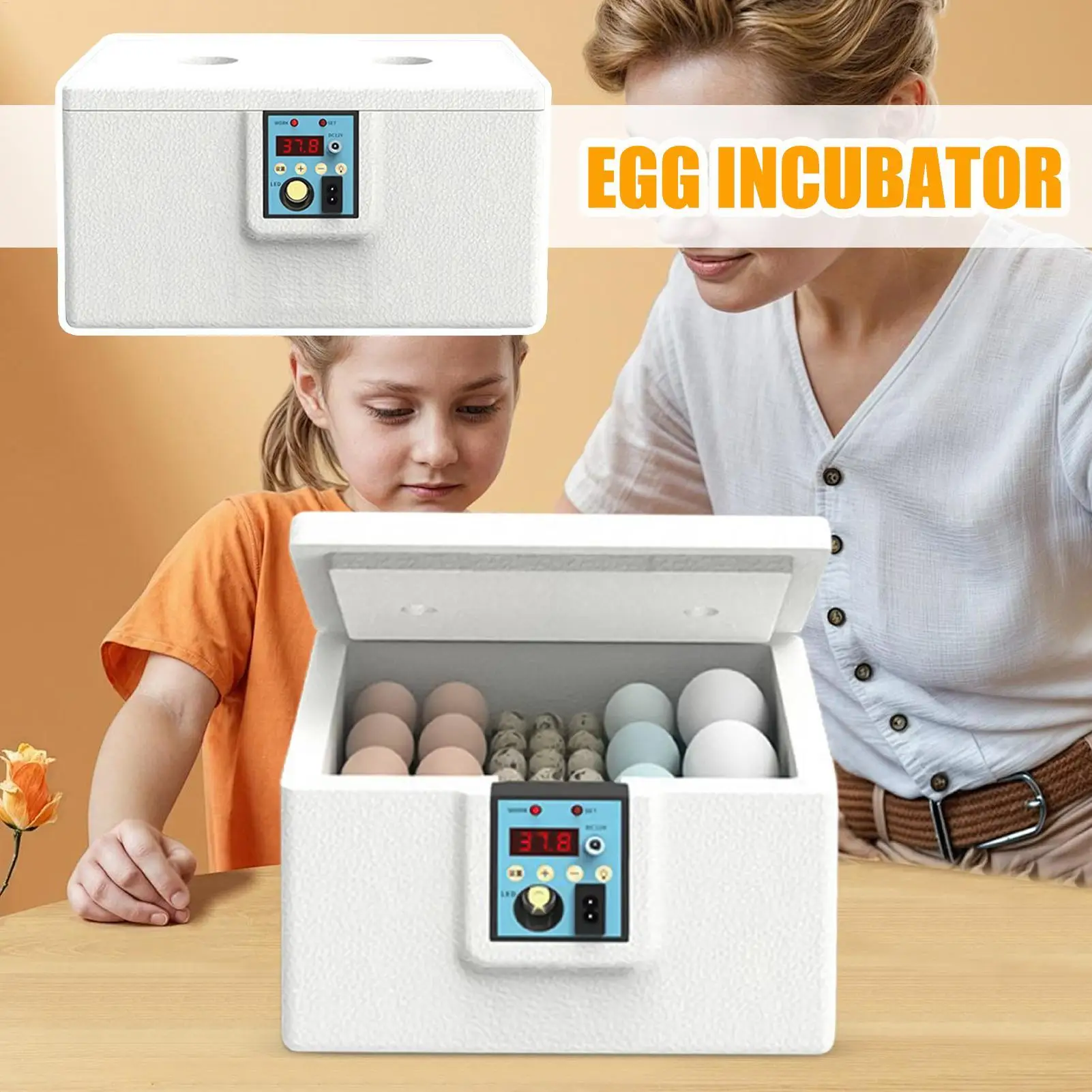 

Egg Incubator Quail Egg Incubator With Candling Temperature Control Incubation Box For Home Breeding Chicken Ducks Quail