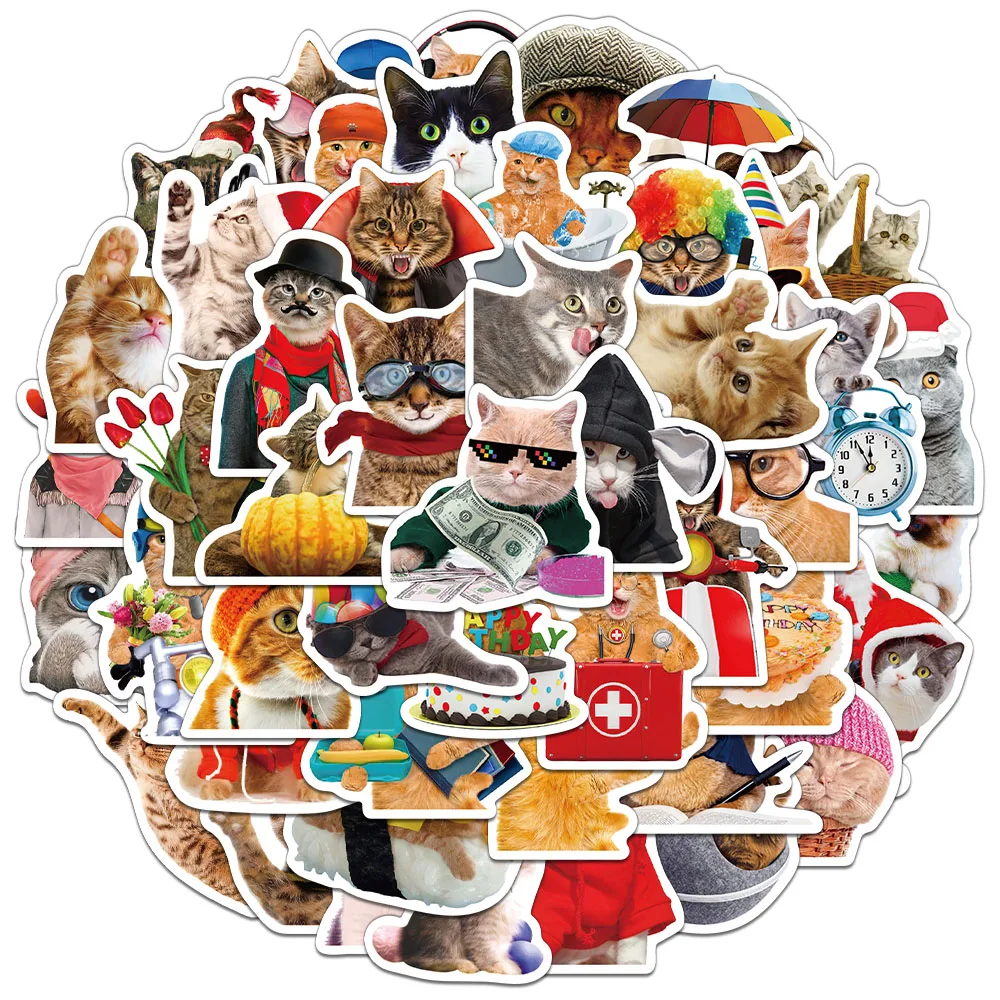 50PCS Creative Cat …