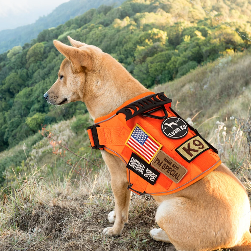 Reflective Orange Dog Harness with 4 Metal Buckles Military Tactical Pet Training K9 Vest Harness Collar Leash For Large Dogs