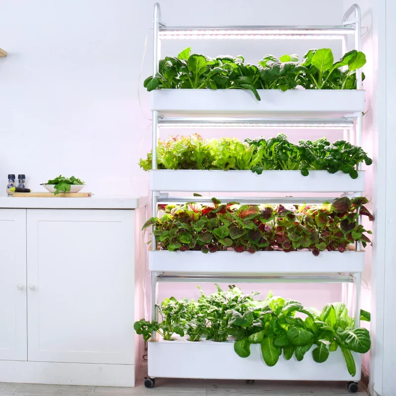 Home Use  Multi-layers detachable Smart Vertical Hydroponics Vegetable Grow Rack System