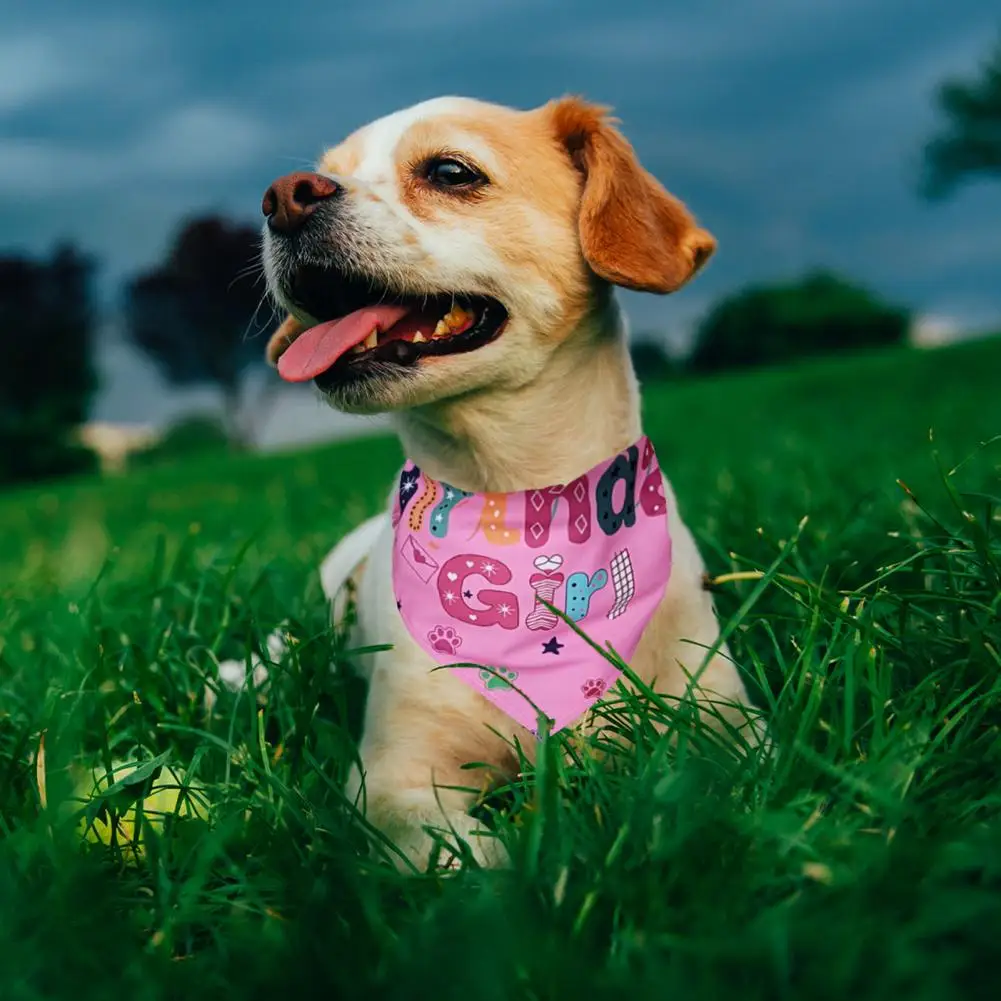 Conjunto de fantasia de aniversário, roupa peluda para cães, peludo, bandana, números, cachecol triangular, vestido para cães, pequeno, médio