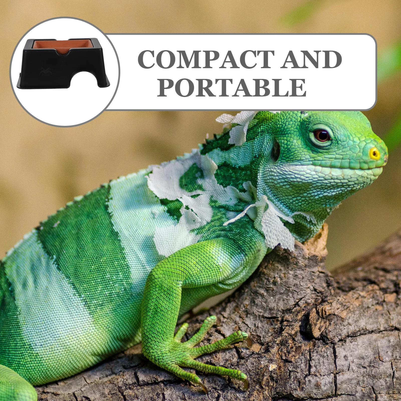 مخبأ الزواحف كبير آمن يستريح السلحفاة الاصطناعية حوض السمك إخفاء كهف الزواحف ملحق السلاحف إخفاء الكهف #3