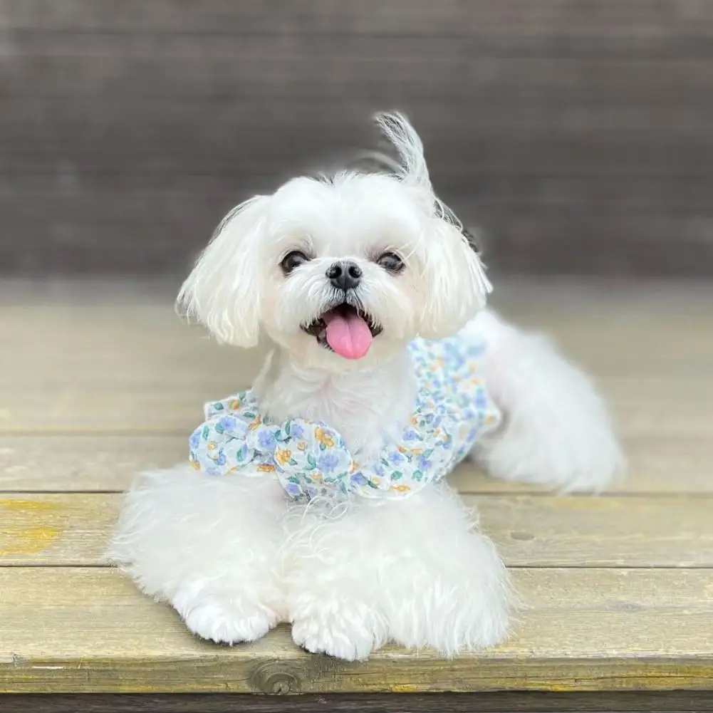 Dog Tops Flower Print Cat Puppy Shirt With Bow Clip Adorable Breathable Two-legged Dogs Costume Photograph Props Pet Supplies