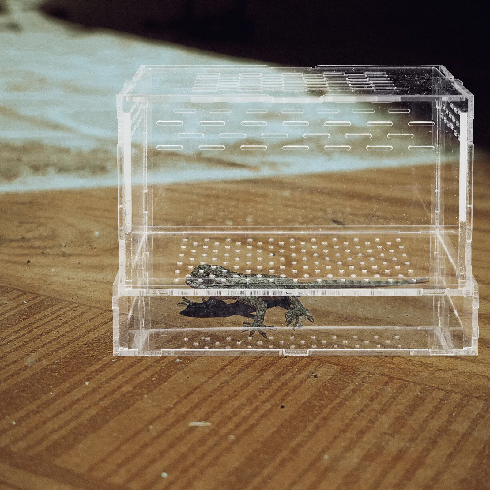 

Clear Reptile Breeding Box for Snakes Tarantulas Geckos Crickets Snails Hermit Crabs Frogs Lizards Tortoise