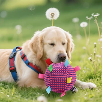 Interactive Chew Ball Dog Toy 1