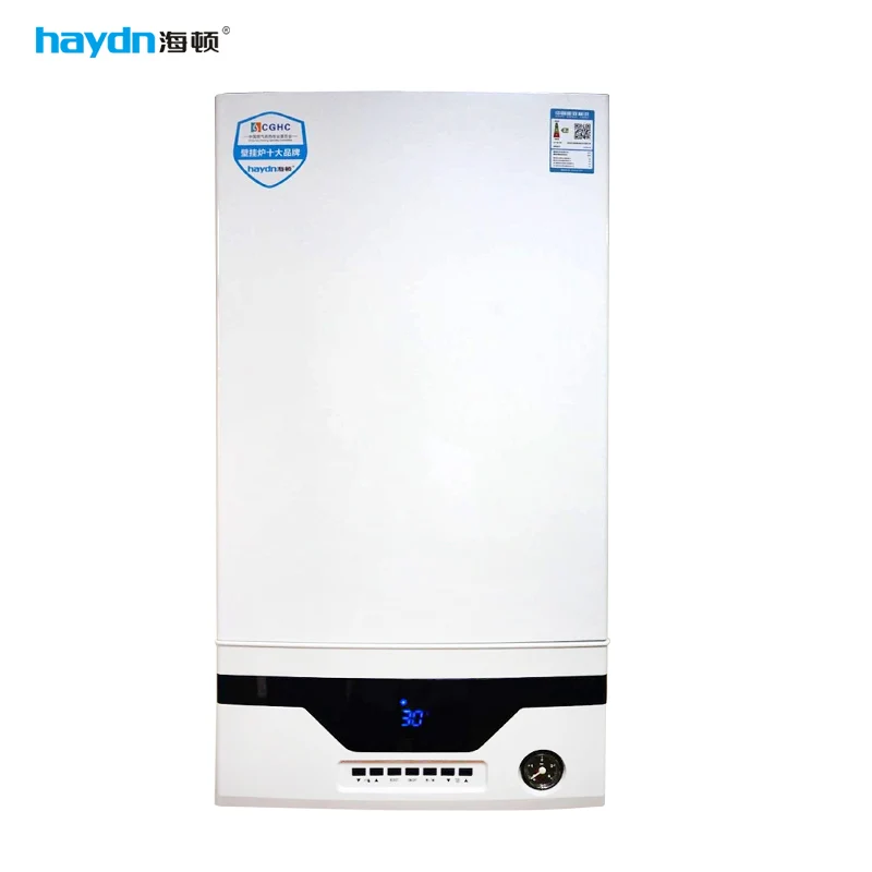 High Efficiency Gas Boiler With Compact Structure Low Gas Consumption And Easy Installation