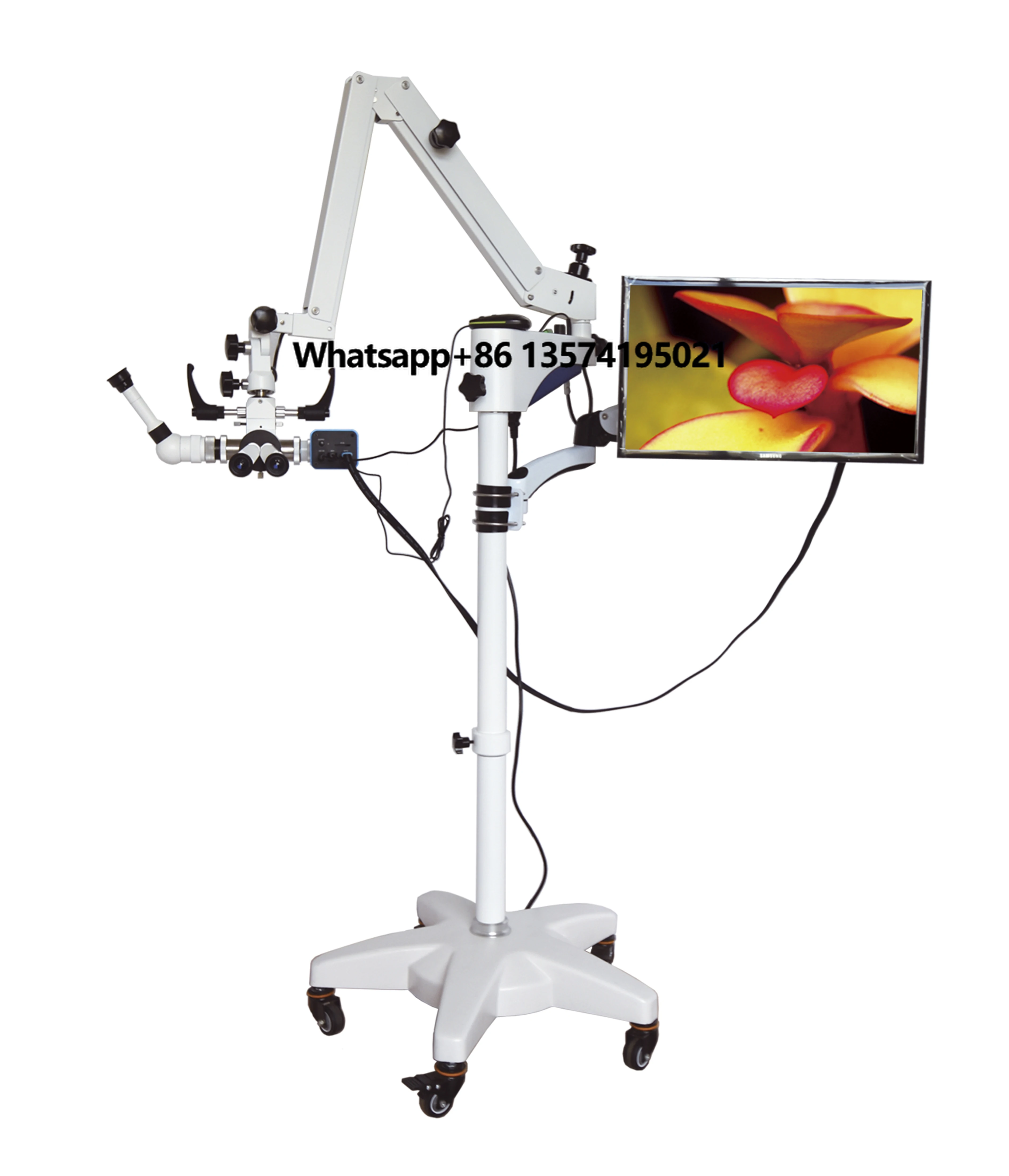 Hospital ENT Neurosurgery Ophthalmic Surgical Operation Microscope