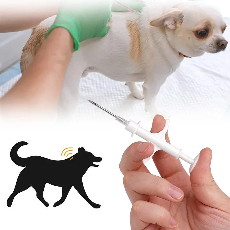 10Pcs For Dog Cat I…