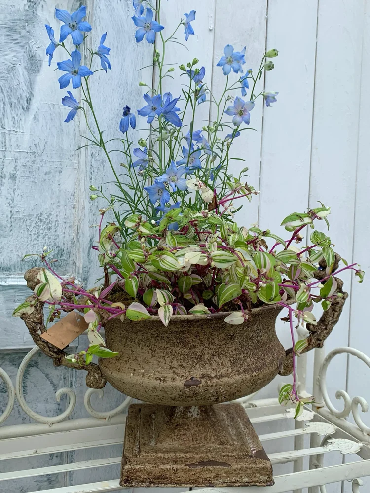 Square Bottom Pedestal Timeless Elegance Rustic Vintage Iron Urn Planter with Drainage Hole