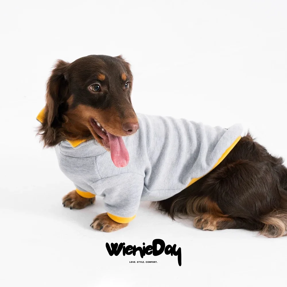 Fashion Spring  Sausage Dog Clothes 2-Legged Wiener Dog Sweater for Small Medium Large Badger Dog Clothing Dog T-shrit