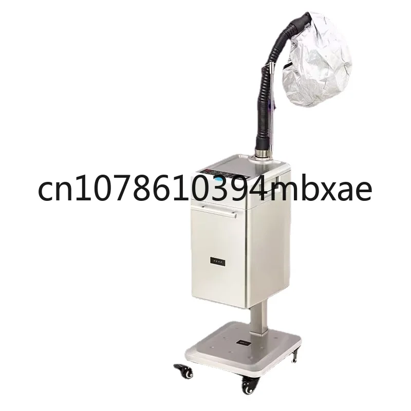 Top Supplier Professional Hair Care SPA Treatment Hair Steamer Soft Cap Bonnet Ionic Micro Mist Hair Steamer Machine