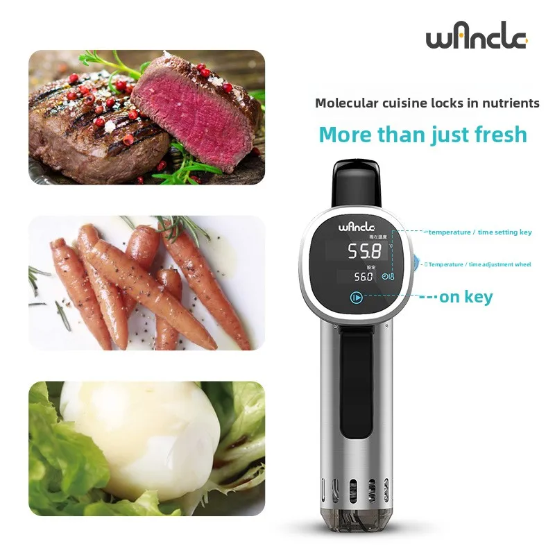 Sous Vide Steak Blender, Salmon & Chicken Cutlet Healthy Food Processor