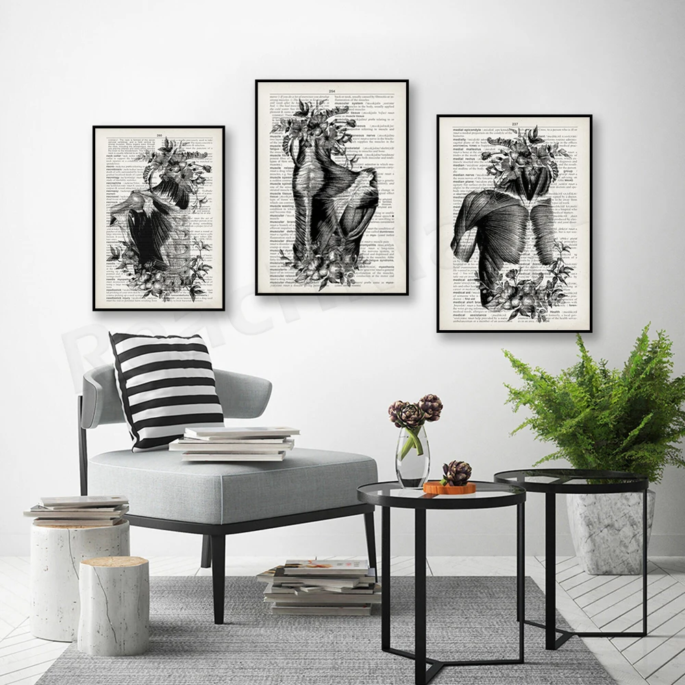 Antique Muscle Anatomy Art, Muscle System Physiology Art Massage Poster, Medical Art Physical Therapy Surgeon Office Gift