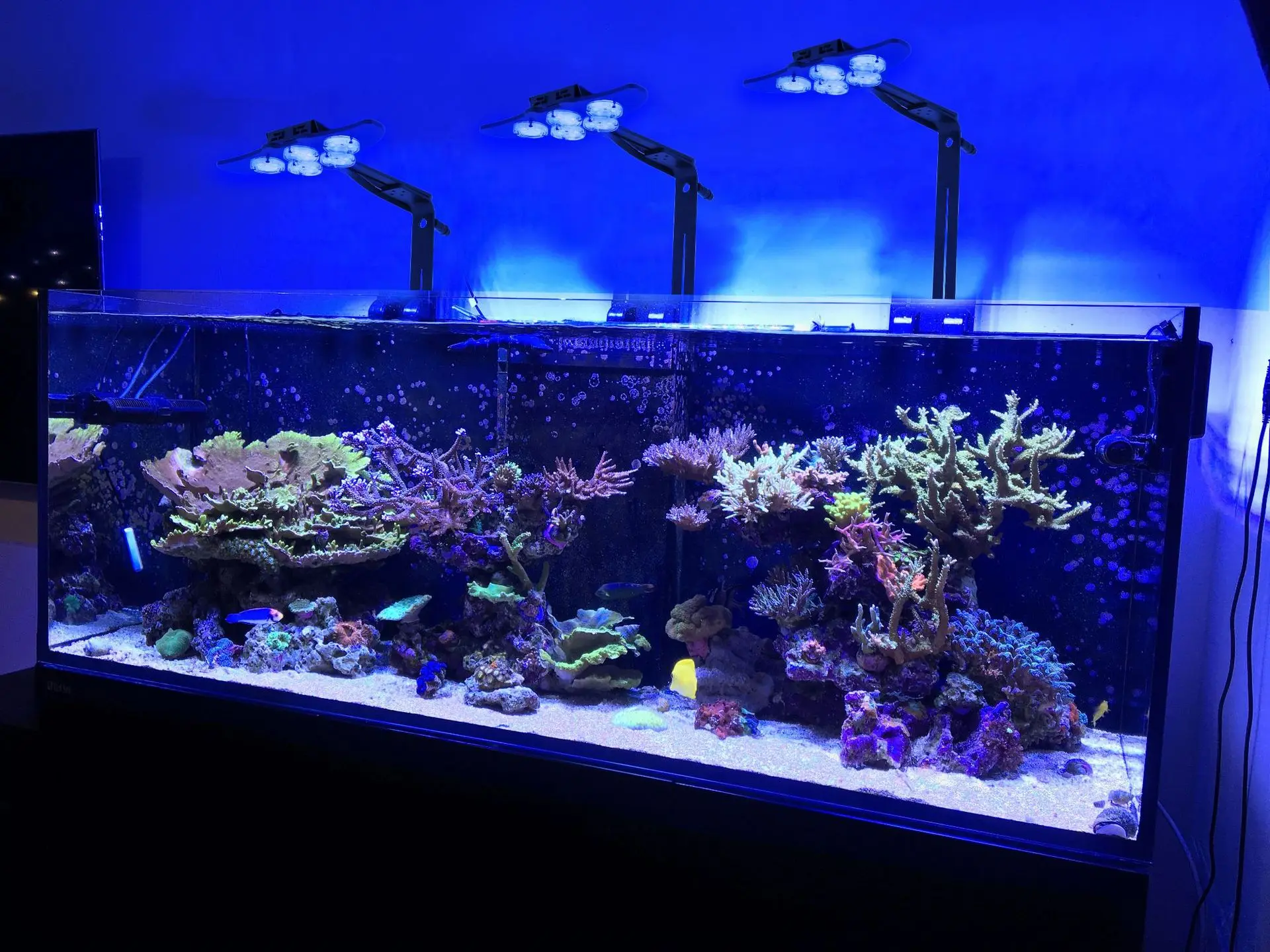 LED البحرية حوض السمك المرجان حوض السمك تربية الأحياء المائية أضواء البحرية خزان الطحالب أضواء شروق الشمس وغروب الشمس واي فاي يعتم APP التحكم #6