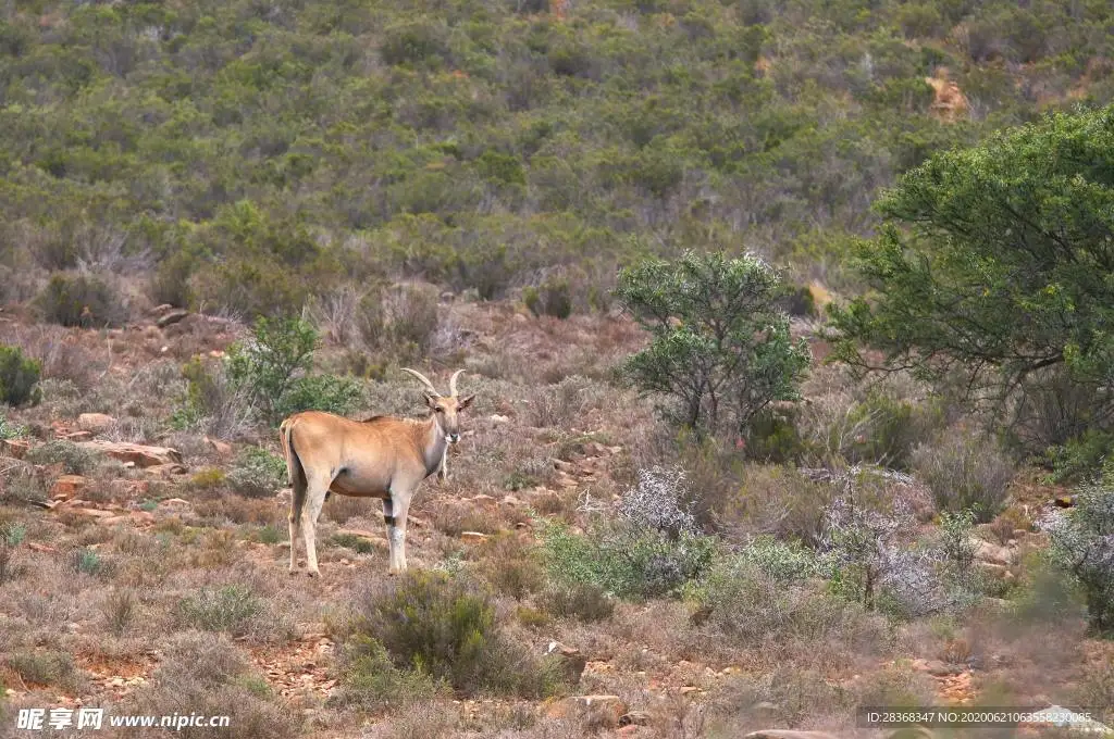 

MJX Hyper Go 10208 V2 Metal Front and Rear Shock Tower Plate 1/10 RC Car Upgrade Parts Accessories