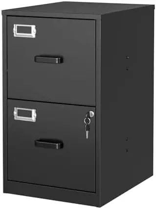 2 Drawer File Cabinet with Lock Vertical Filing Storage Cabinet Office Home Steel Vertical File Cabinets for Letter