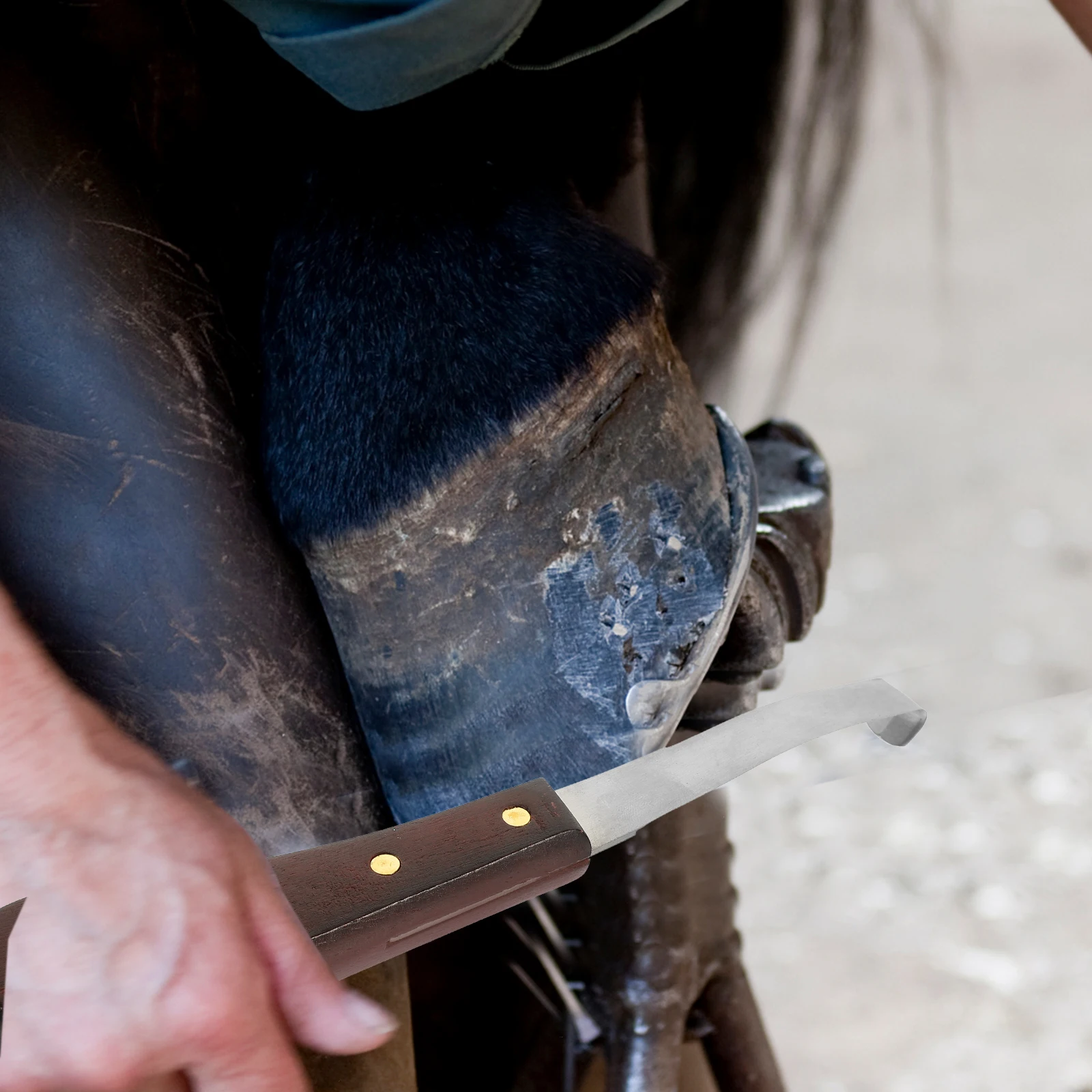 

Stainless Steel Blade Hoof Trimmer Wood Handle Farrier Tool for Goats Horses Daily Use Wear Resistant Professional Mending Knife