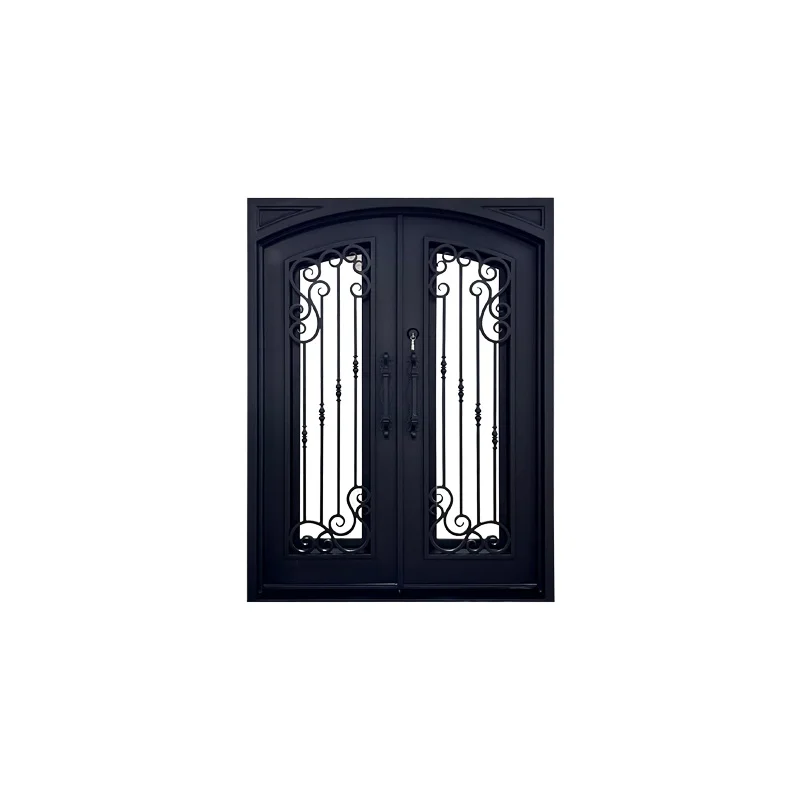 Luxury Entrance Door Customizable Forged Iron With Iron Craftsmanship Swing Style Luxury Flower Black Glass Steel Living Room SY