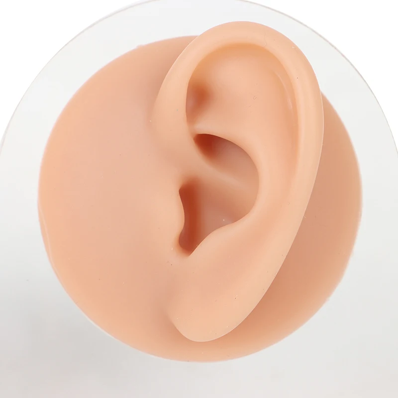 1PC Soft Ear Silicone Piercing Model Tattoo Practice Tools Earring Jewelry Display Acrylic Display Stand Kit