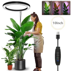 屋内植物用の調整可能なLEDリンググローライト,植物用のフルスペクトル照明,高さの照明,USB, 10インチ