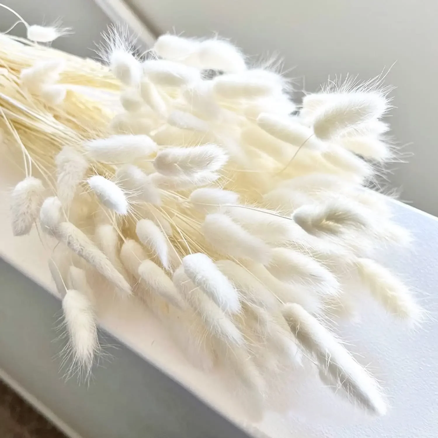 

120Pcs Dried Pampas Grass,White Rabbit Tails Grass Bunny Tails Flowers Wedding Boho Decor Party Background Flowers Arrangements