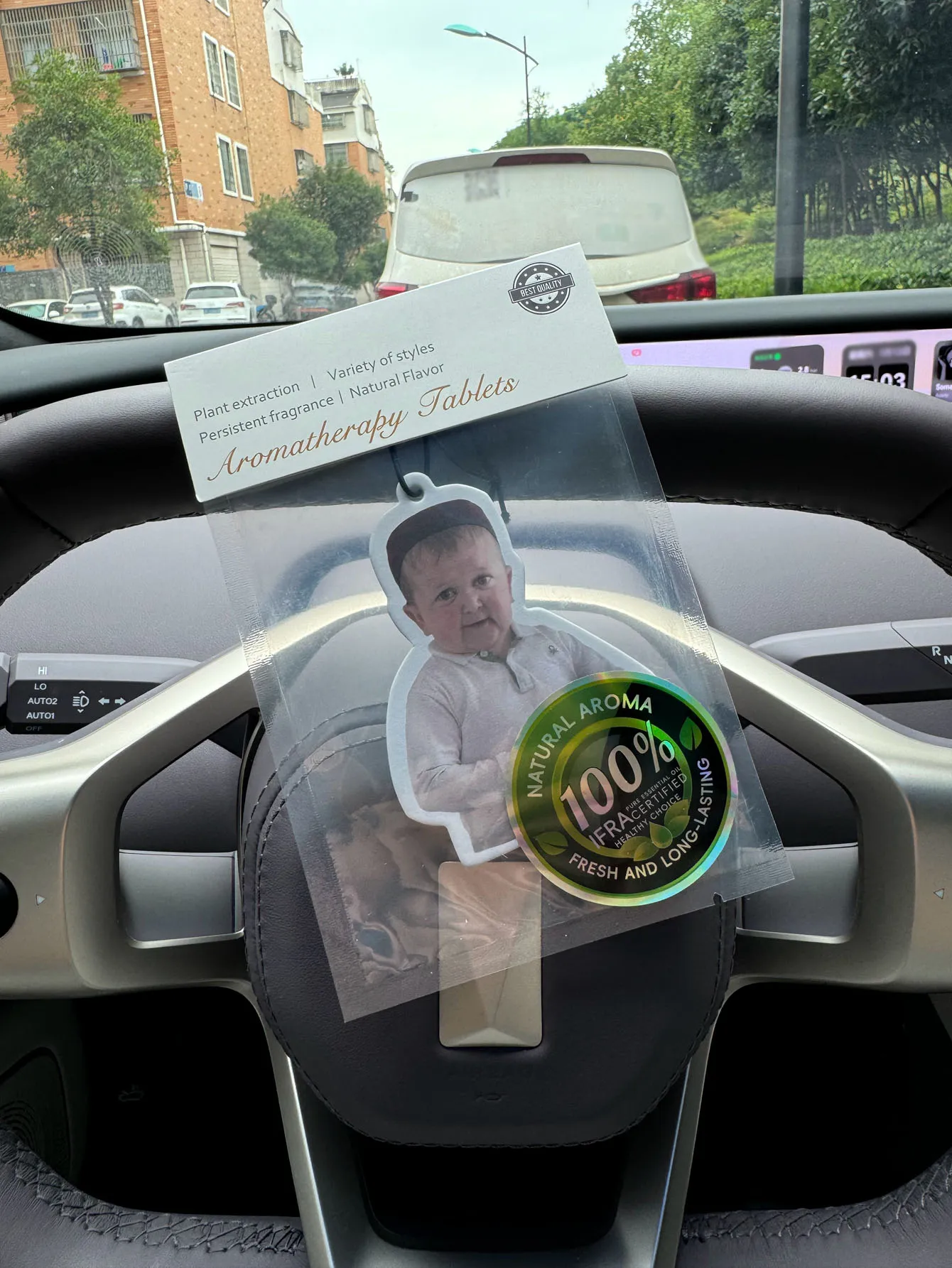 Hilton five-star hotel, car air freshener pendant lasting for 90 days, natural aromatherapy Captain Hasbulla Funny emoticons