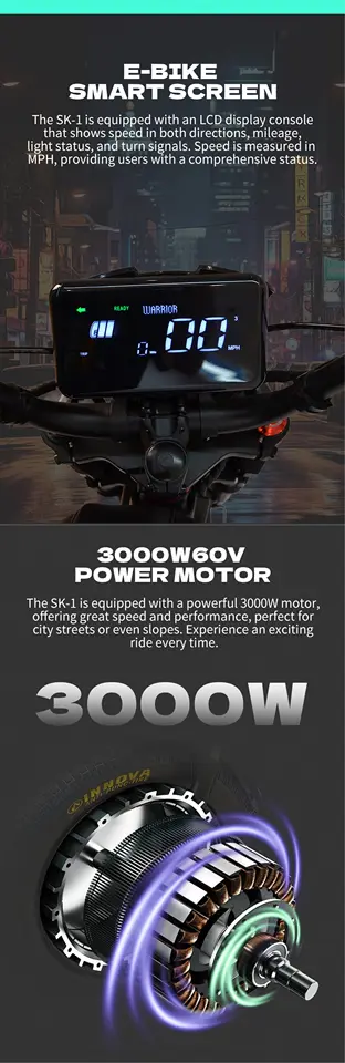 Warrior Electric motorcycle 3000W motor 60V 45AH battery electric bike 115N.m 20 inch tire off road riding mountain e bike image 7