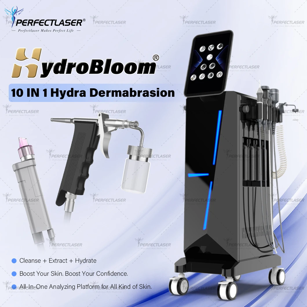 Machine Hydro Dermabrasion à oxygène 10 en 1, diamant, nettoyage en profondeur de la peau, rajeunissement du visage, eau, dispositif de soins de la peau du visage