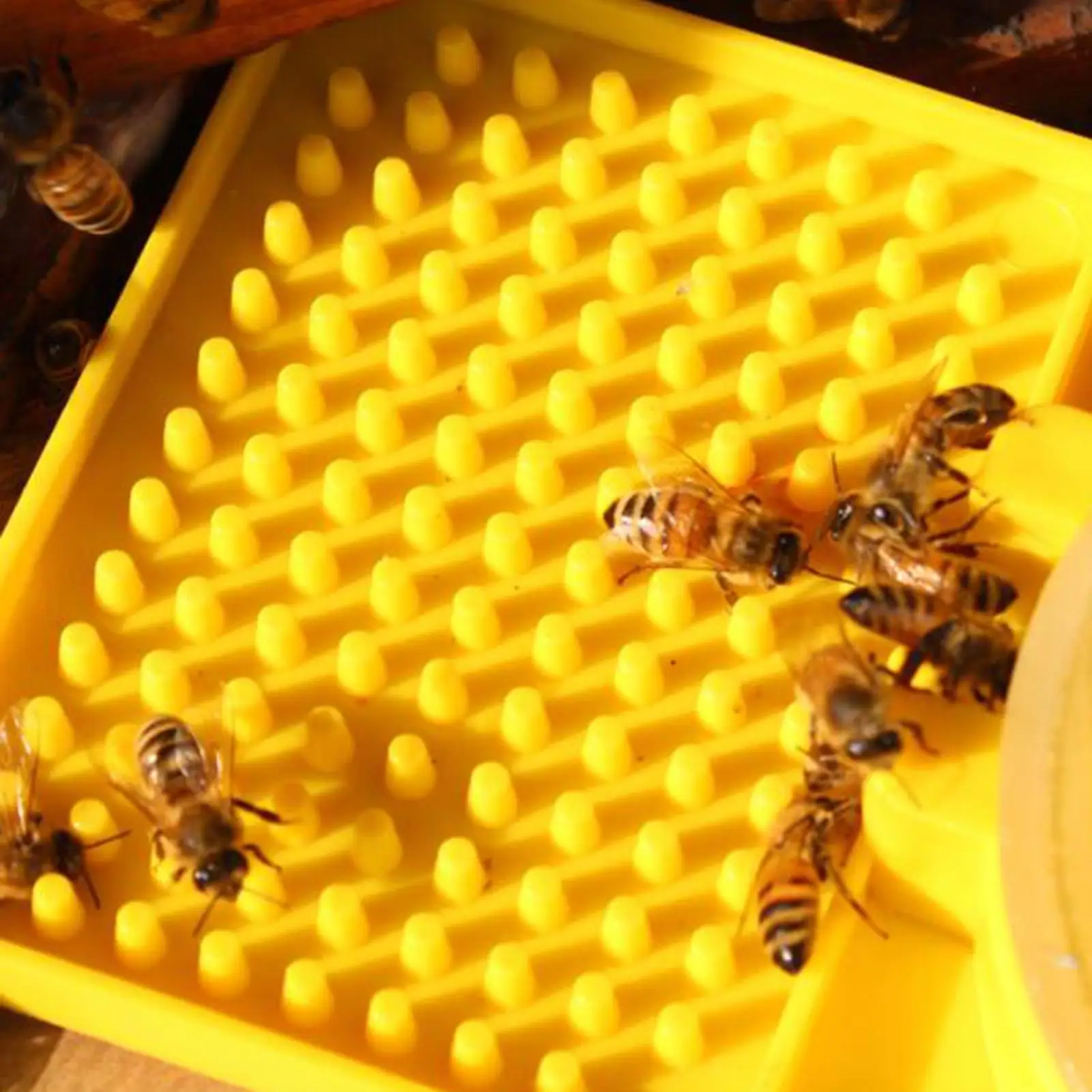 keeper Feeder Water Drink Feeding Fountains keeping Apiculture Tools