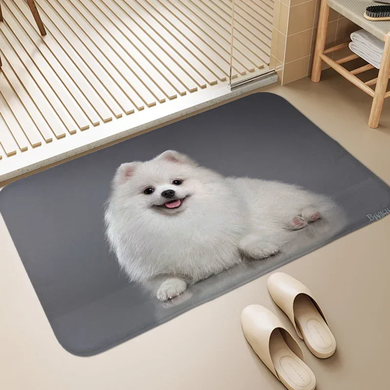 Pomeranian Dog Welcome Entrance Doormat Indoor Outdoor Floor Mat Washable Carpet for Bedroom Living Room Non-slip Kitchen Rug