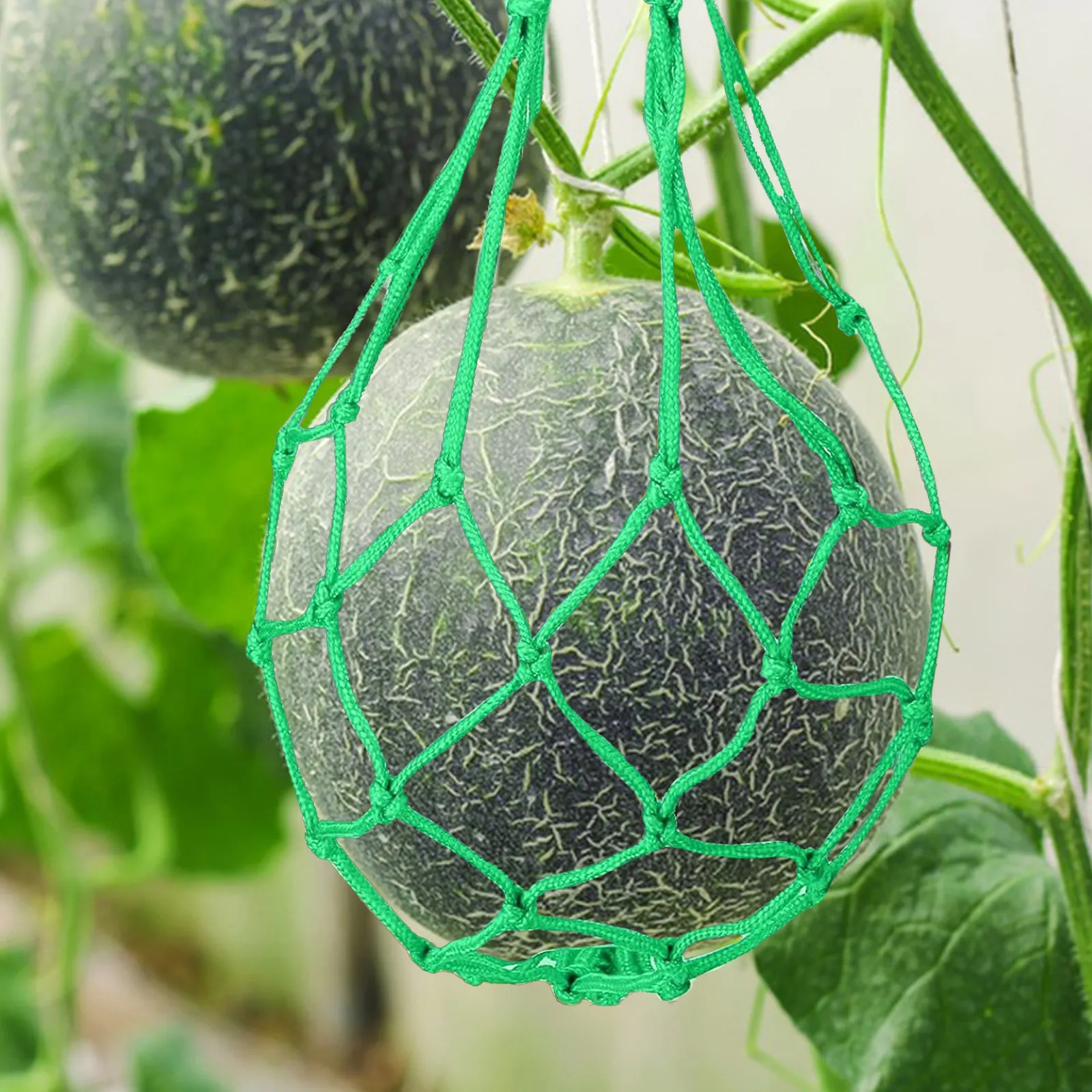 Watermelon Hammock 6 Pack Melon Cradle Trellis Support Sling for Cantaloupe Pumpkin Garden Fruit Holder
