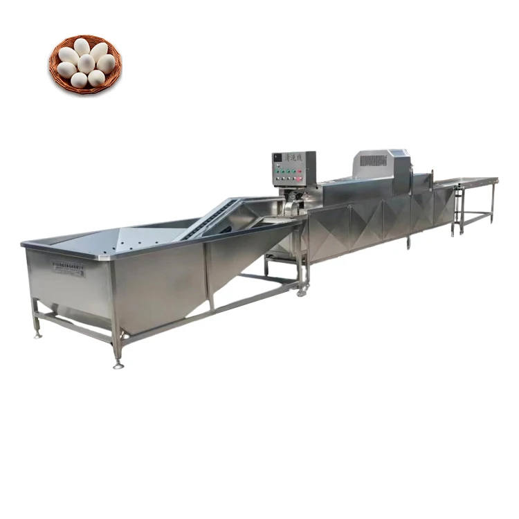 FOODLINE Small Batch Egg Washing Machine Compact Structure For Startup Egg Processing Small Business