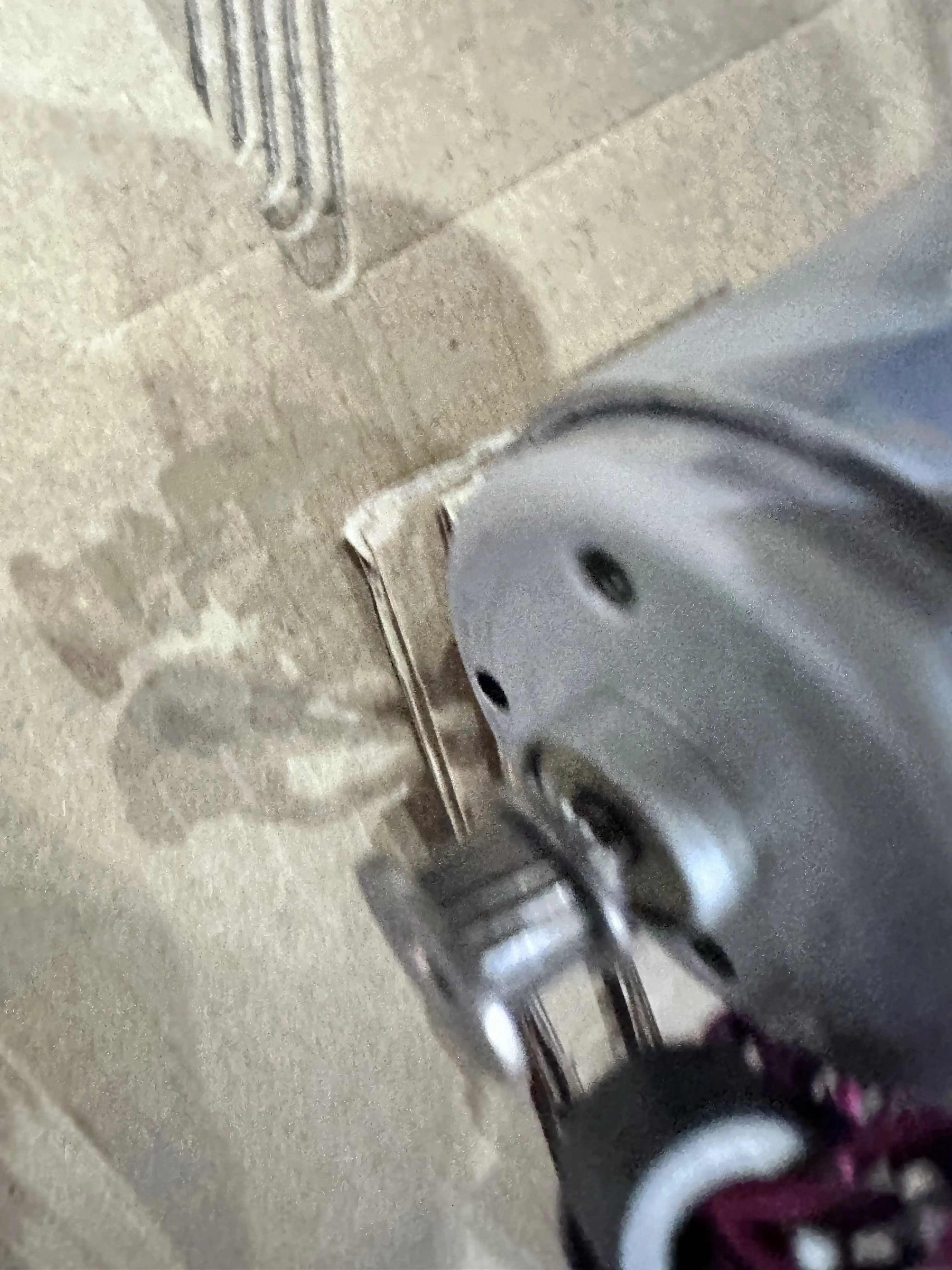 

Original Brand New CR Motor For Epson L18050 L18058 L8050 L8051 L8188 L8180 L8160 printer 2207984 Carriage Motor