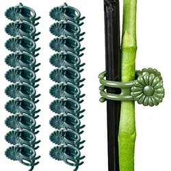 20pcs/set 6-Claw Plant Clips Climbing Vine Stem Clasp Tied Orchid Flower Support Clamps Bundle Branch Garden Tool Brown Green